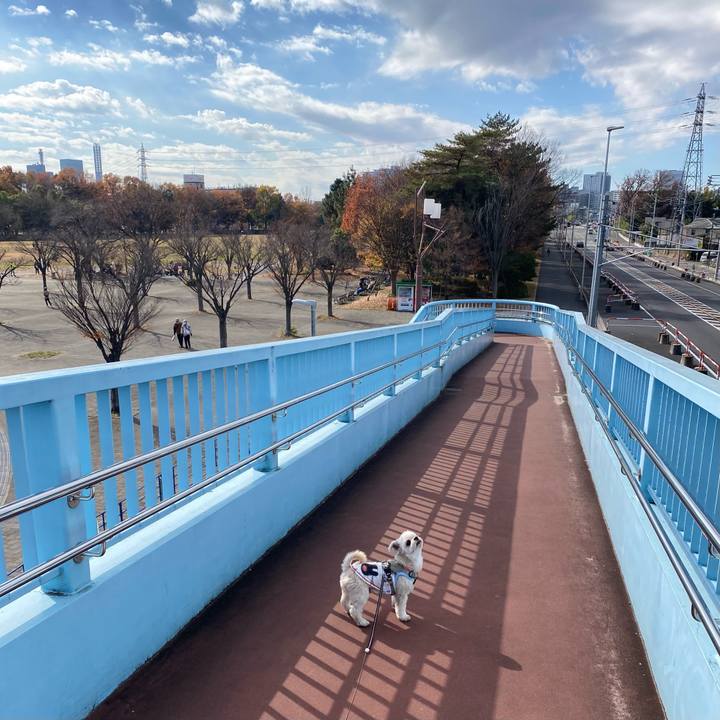 B7d29c5c f223 420a 8496 a963fb3f991b 1765200043153