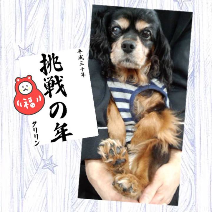 B7d2f4dd 0dc9 4c49 95f0 9848a2dd27b4 1515109826380