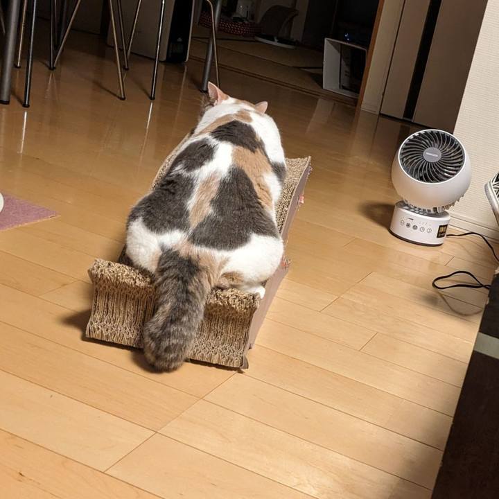 B7d314b5 1875 4d31 8572 edc6ddc6aa5c 1689578442920