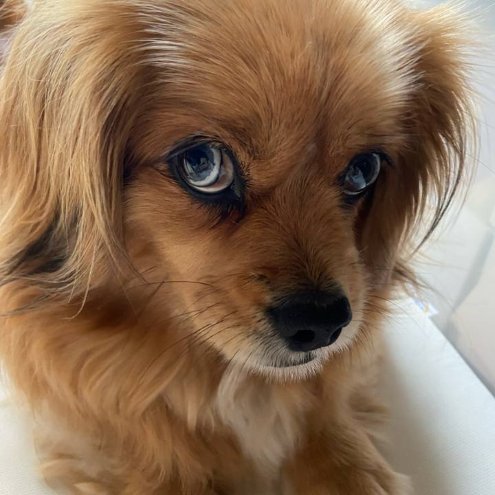 B7d31b86 5db4 4acc a591 e495f34d9621 1618712042812