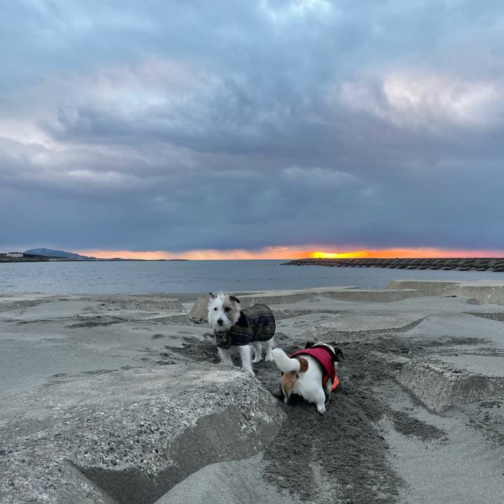 B7d32da6 25cb 4b73 8dfb ac949058e4f4 1676627505376