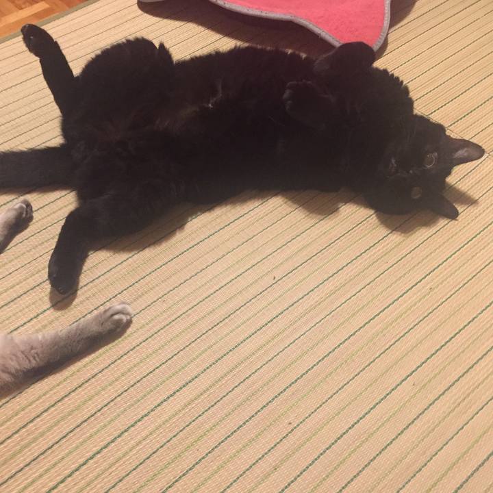 B7d33ce7 7824 46a0 ba57 2fd5ab8d6e59 1564744285603