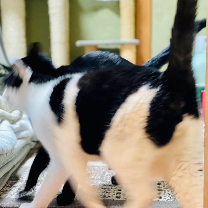 B7d34dda 6c96 4791 9a12 f48d9556caa1 1607308212385