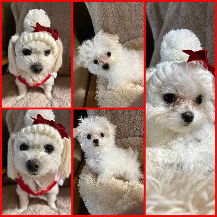 B7d38284 3af6 4889 ab46 14d175e846f2 1703144158612