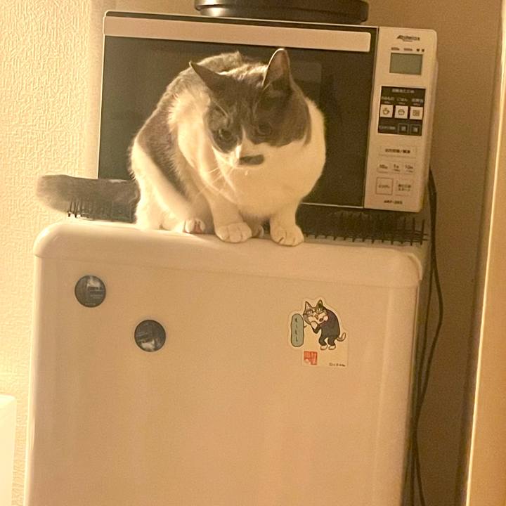 B7d38fc0 916f 4ceb bea0 f27639b933d0 1629382061345