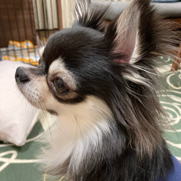 B7d3b784 8b65 4d7e a11d 8dca13a7db31 1637502751081