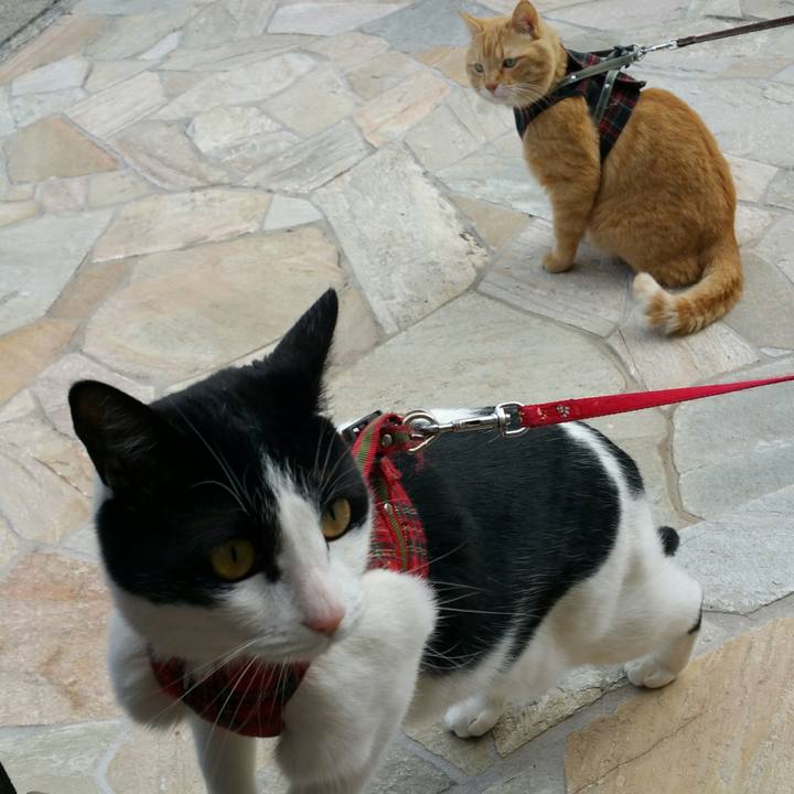 B7d3b898 3ed1 490b b3e5 b8e72bdc7a6b 1520148826378