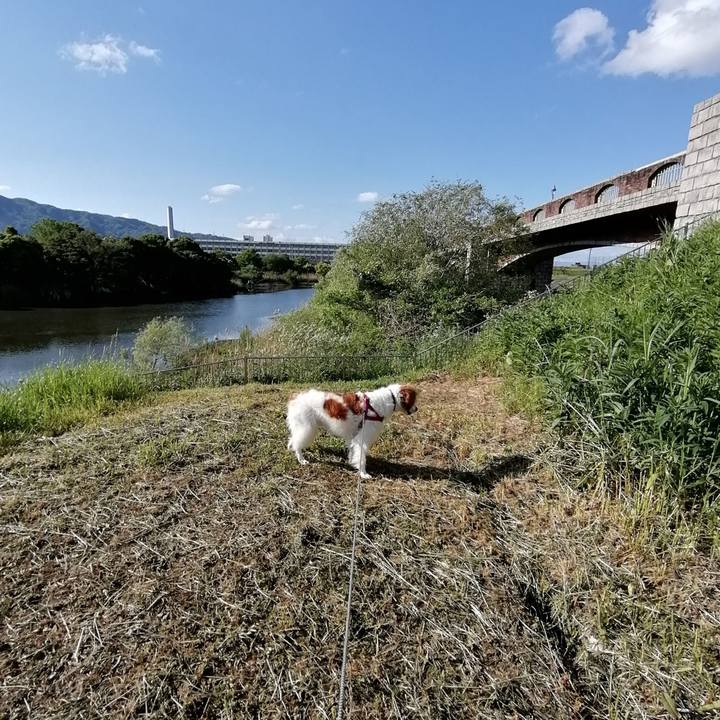 B7d3ca52 4d36 4803 b46c c51f782aa9d9 1588817741258