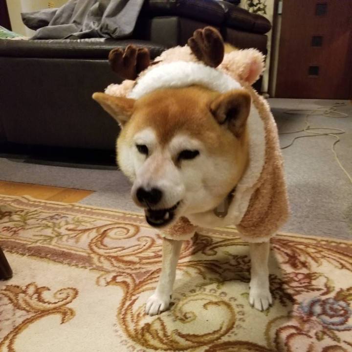 B7d405bc 4fdf 4d68 a173 96d9aa70fc4c 1575976064349