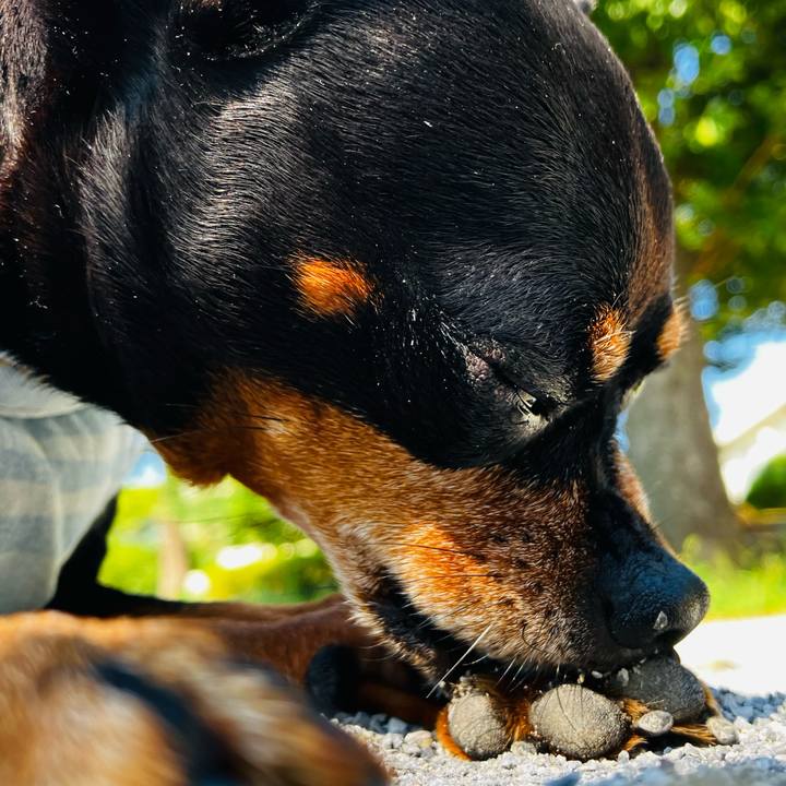 B7d408e4 fbdd 4615 a021 673fa2e67cde 1758629564633