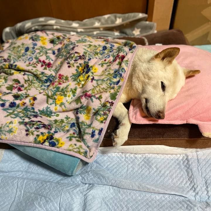 B7d42345 cd34 46df bc6c aa07113f7763 1647531737671