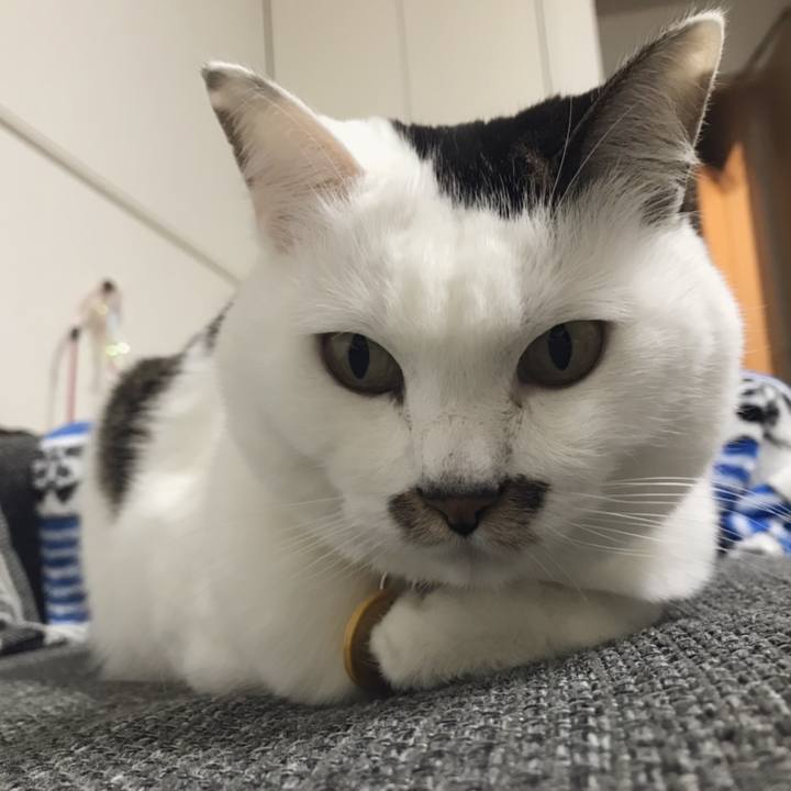 B7d44d8b c847 430b b634 ff7acba50bc5 1551499761652