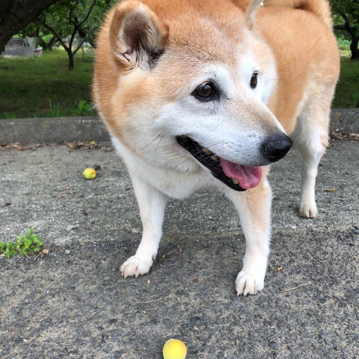 B7d44f69 81ef 4cdb b000 26818c87e270 1591184223477