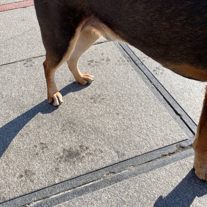 B7d45dd3 7cca 4661 a7ed 53d66d7edab3 1575181937556