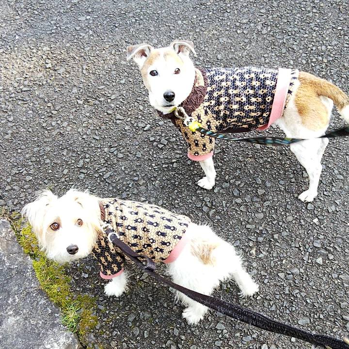 B7d491b5 a77e 48c7 9ec9 f9f7b5bc7993 1582546462126