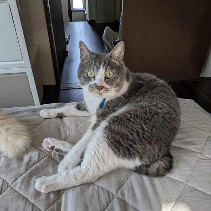 B7d4958c 200a 4c33 a4cf 499246001586 1749983431188