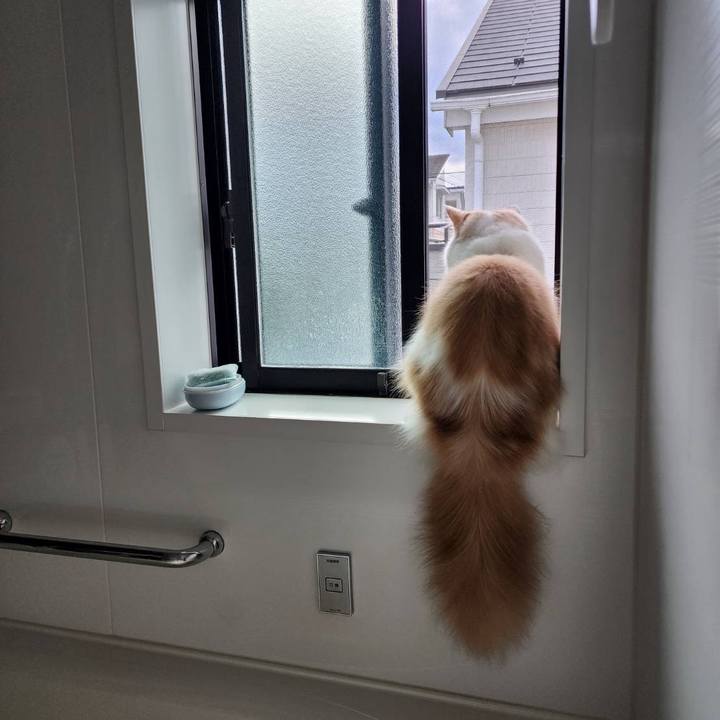 B7d497af f9e2 42eb a592 85f2daa3efdb 1761689472318