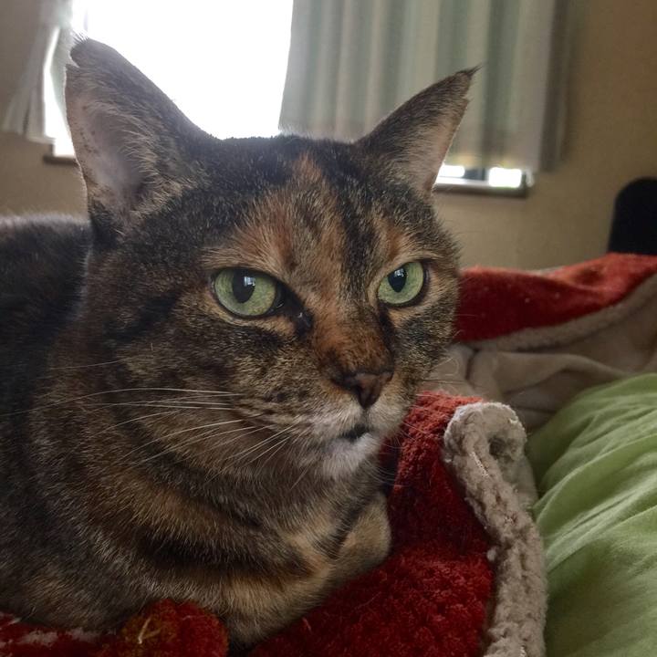 B7d4b7f0 6d22 4ac7 b536 dfb2b076f53b 1511234230667