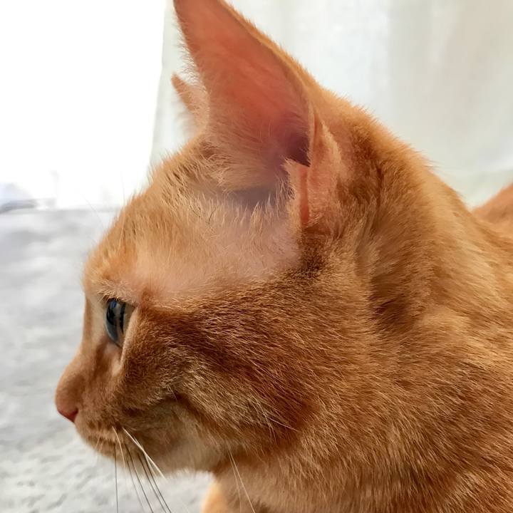 B7d4d087 d504 4253 a312 d9e8e267fb5d 1589198973807