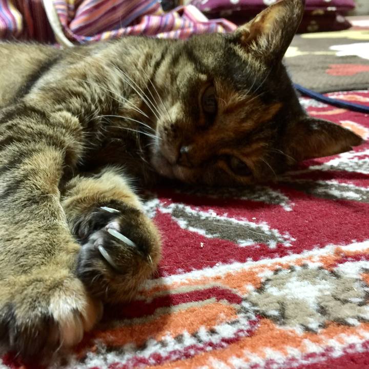 B7d5261c 2c2b 4c96 ba12 b0a4ea028b7d 1576495801762