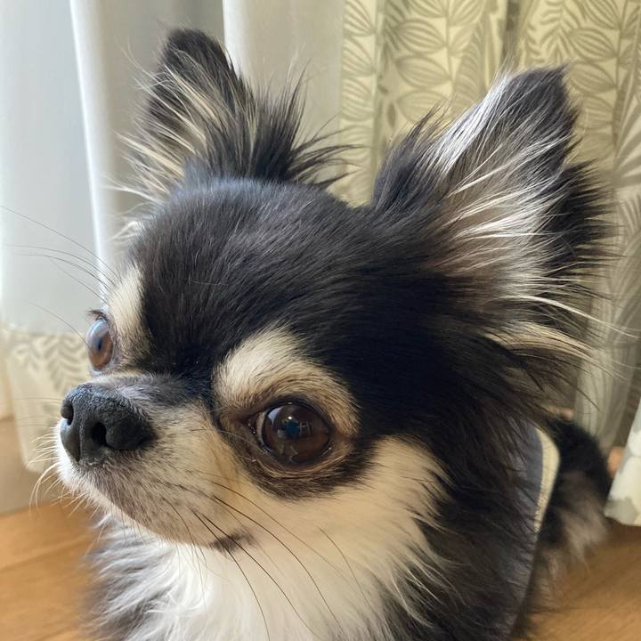 B7d579ed d788 4e78 9abf 43547bae6cee 1700717134291