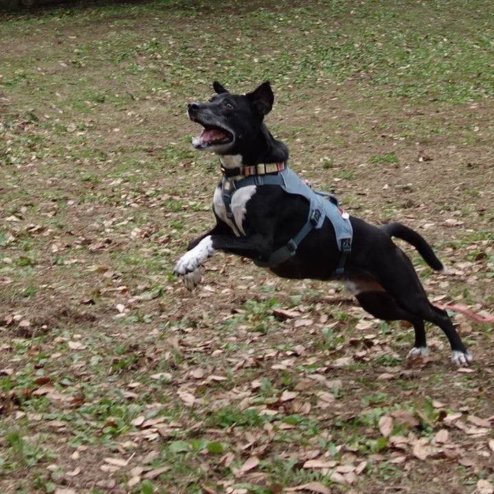 B7d58978 b580 41e3 94b5 38849743e950 1731205777297