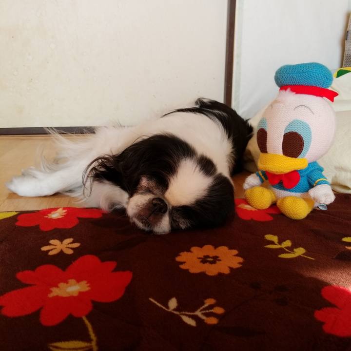 B7d58a14 0b1a 4f41 a58a 875f1f1ddffc 1550380080195