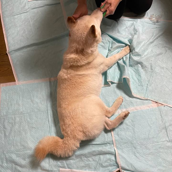 B7d5a04d 7f53 41e0 b896 6875df5121a8 1634816605753