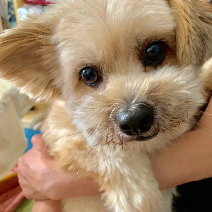 B7d5e7a3 35af 41f8 b797 b114675eb663 1570080690532