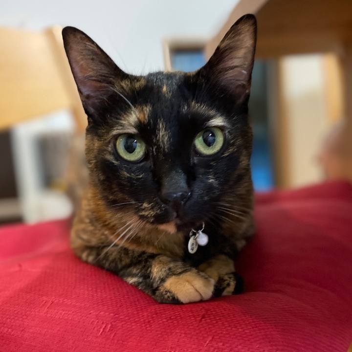 B7d60bc9 da4d 4e88 8614 5f2e5aa139e2 1629546565389