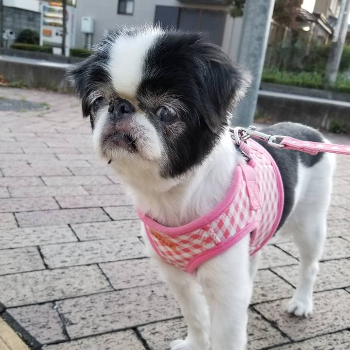 B7d61ee2 b0a2 4788 b567 a20e11efc51c 1570614860647