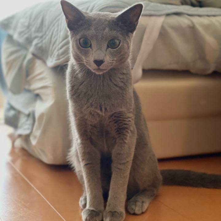 B7d62f2d b729 43e0 9ff7 c78ca96b669c 1625918623072