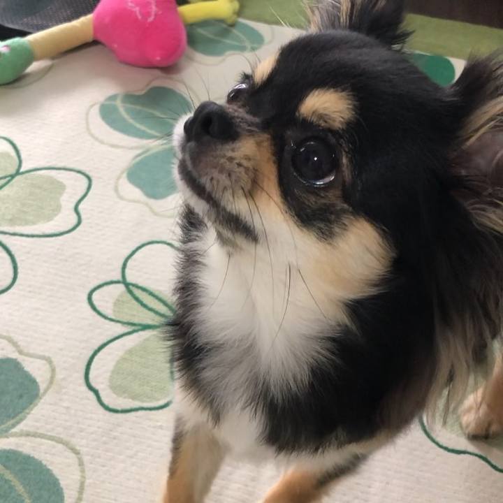 B7d63248 b0f1 4bbc b98e 23c546dbb2d5 1559515395267