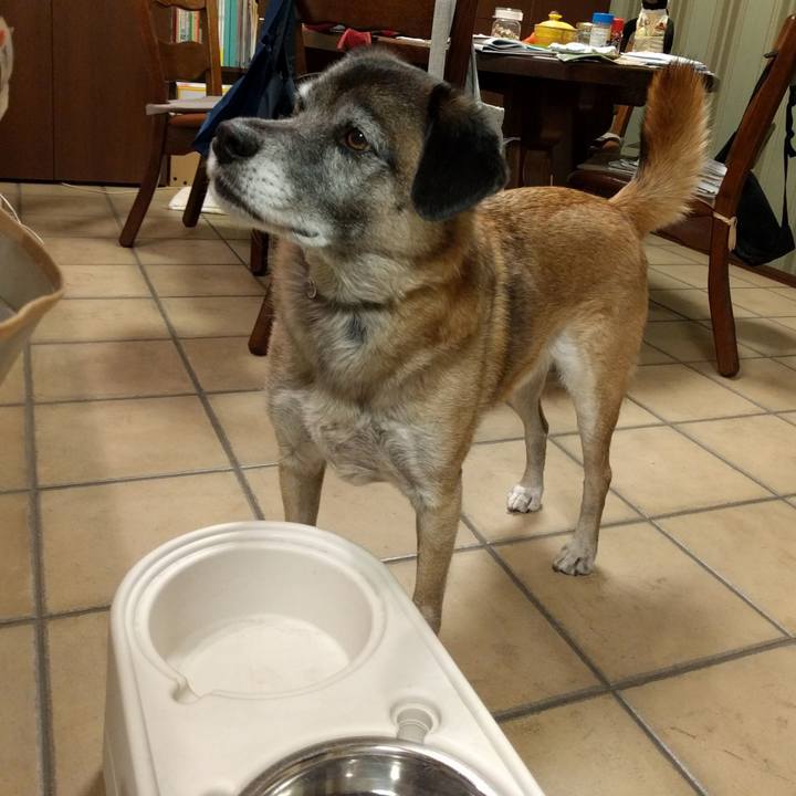 B7d6843b 4798 49da 83dc 22c1c8ebfe8f 1707528484148