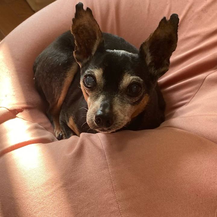 B7d6a67d 76a1 4557 80c4 0797d49ea8ab 1577843810300