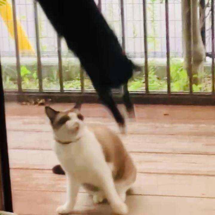 B7d6c7ca 78e6 4485 b642 d60e93d68a2f 1727861214636