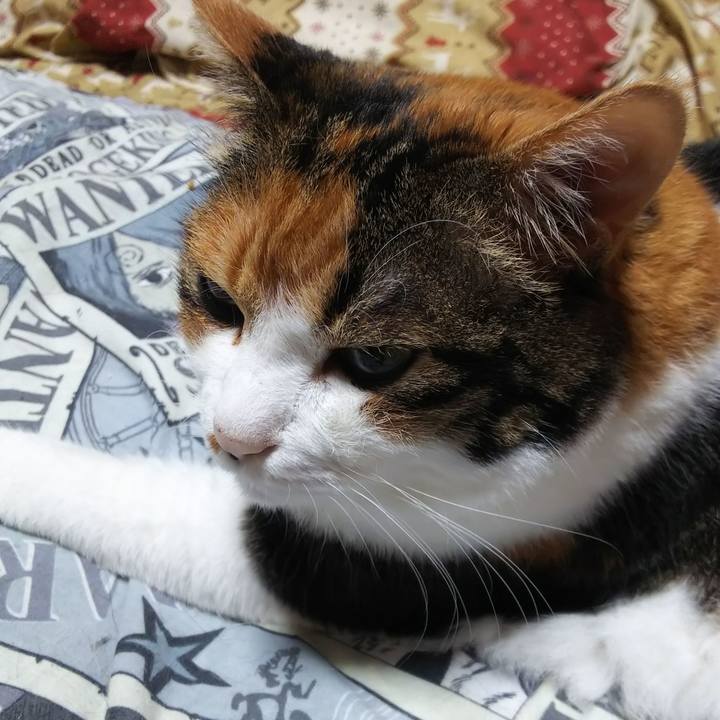 B7d6d429 d1a4 4cc1 ae7e 9f547caf38d9 1567633716879