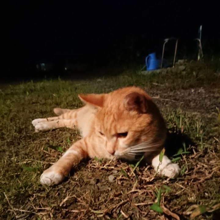 B7d6e4f4 cf81 4e93 8155 ad7bda5129a6 1567771044516