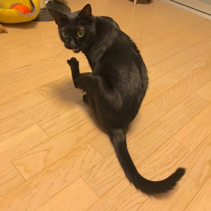 B7d70121 7d71 4787 a853 0e925f2dd763 1568380587420