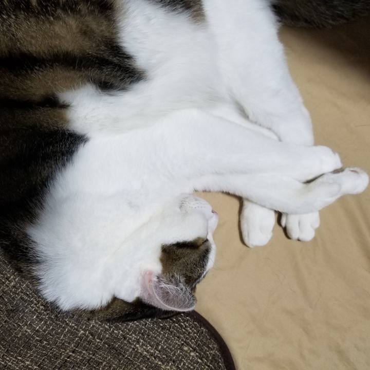 B7d701d9 2877 43af acb1 4dfc072f0aca 1613564328361