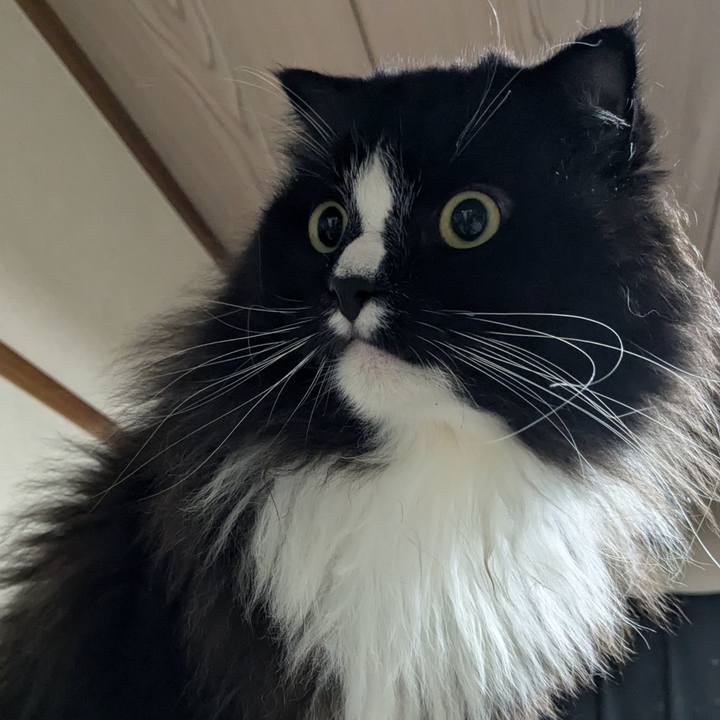 B7d70860 449b 44c2 a278 af55f1dea18a 1724936304441