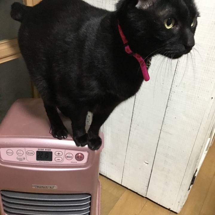 B7d70a71 3dde 4af1 90ca b581c065d10f 1514042999196