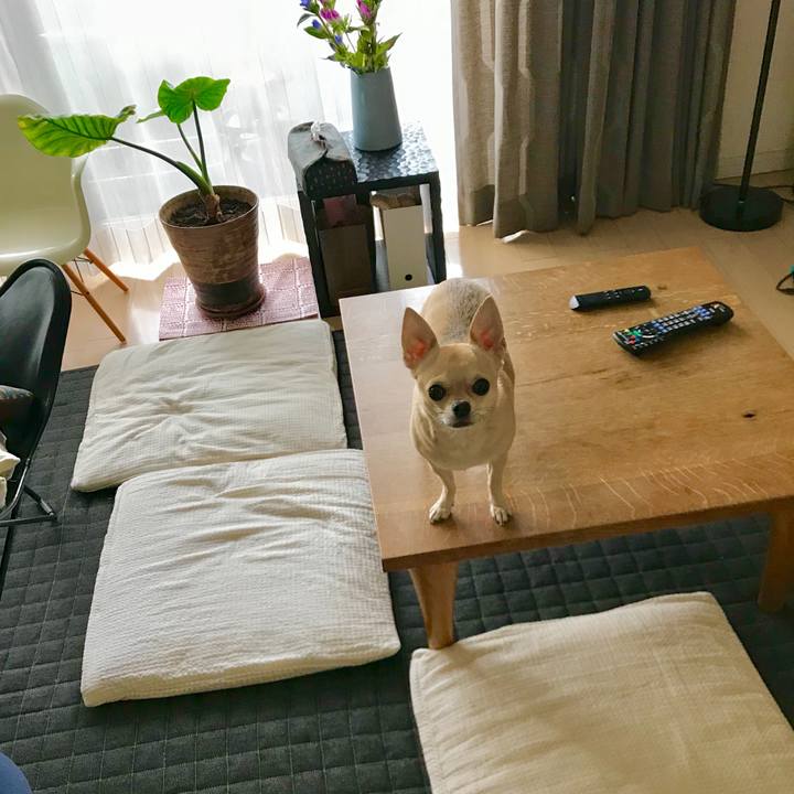 B7d73714 1ab0 4297 a88d c340f71e5988 1540598672433