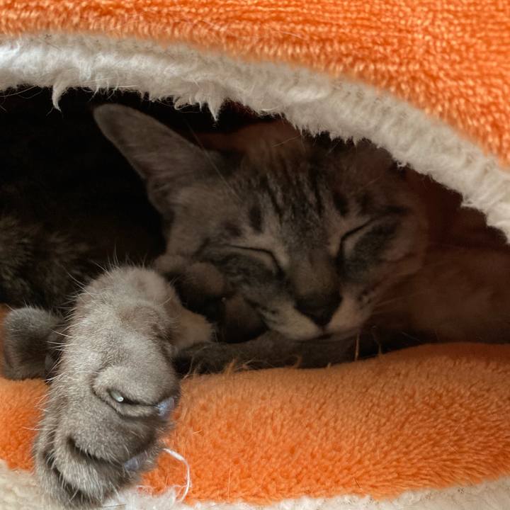 B7d737d0 de37 460c a0d1 e2d78c0f30c8 1646713439066