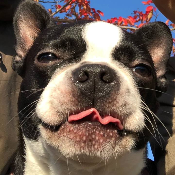 B7d750c2 c9cf 4c0c 9b27 a7f640eb8b88 1541500822481