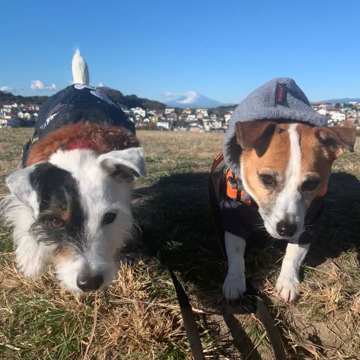 B7d77a90 e6fd 4f53 ba17 8d66afd0b452 1608167480695