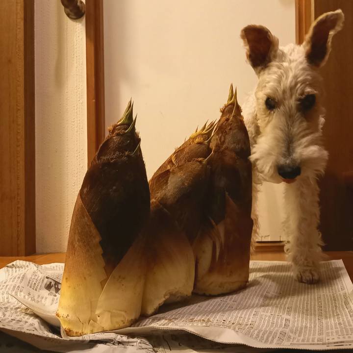 B7d7911e a7fd 4742 a08d 753c6e1ea058 1650287450152