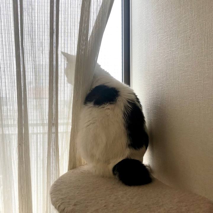 B7d79207 e9f4 48c9 87eb 58801af3abbf 1594337845800