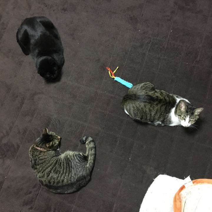 B7d793ef 2c54 47bf ab6e 945f3d17a556 1543066108511