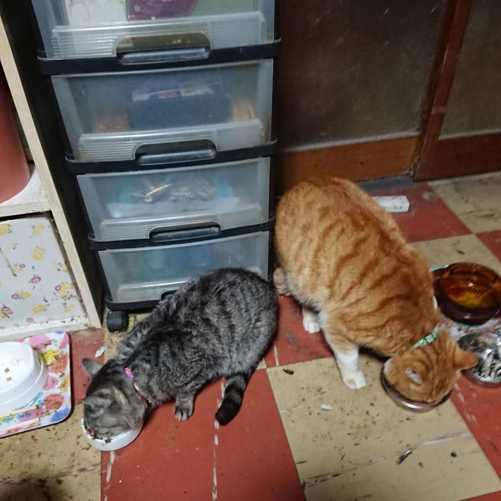 B7d7fc7c 0cdb 4416 9fad 6fee1593dd14 1582105082041